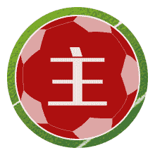 波拉斯U19